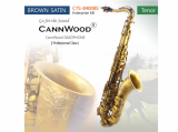 CannWood Saxophone_ _ Professional Class _ CTS_8400BS_